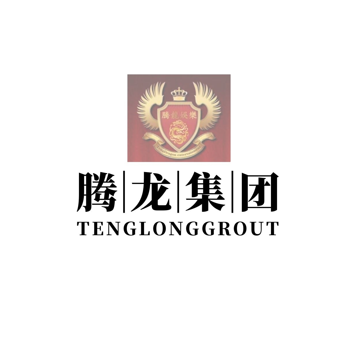 騰龍公司簡介