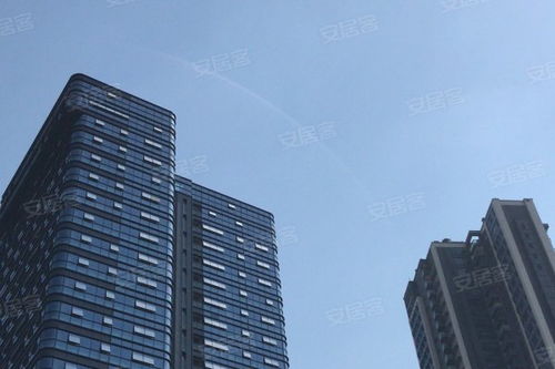 金地壹粵府綜合評析 優勢、不足與市場口碑